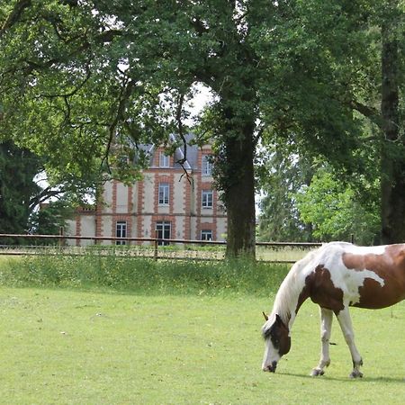 Chateau De Beauchene Chambres D'Hotes Allogny Экстерьер фото